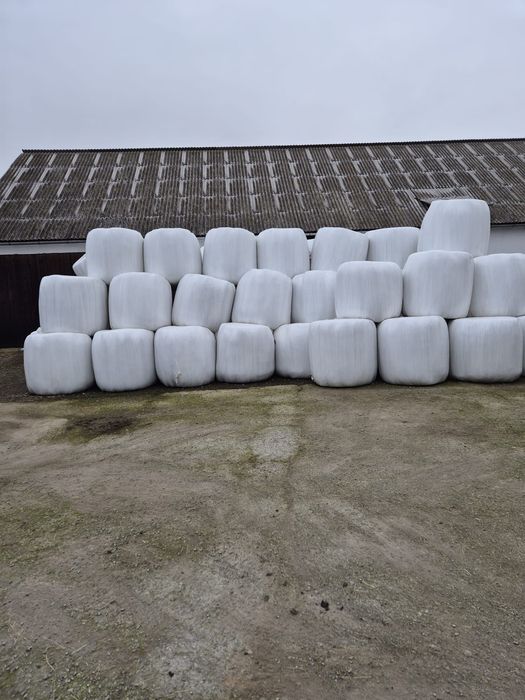 Бали люцерна- сенаж