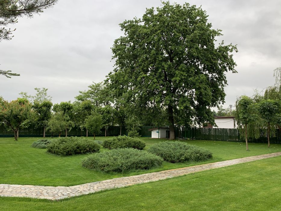 Teren cu toate utilitatile Joita/ Sabareni/ Dragomiresti/ Bacu/Chiajna