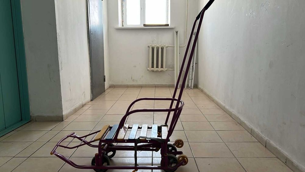 Балаларға арналған шана