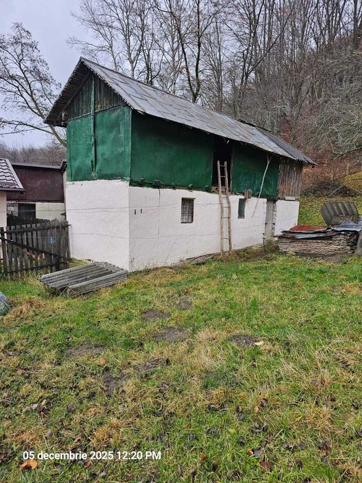 Casa modernizata in Campulung Muscel,padure proprie, toate utilitatile