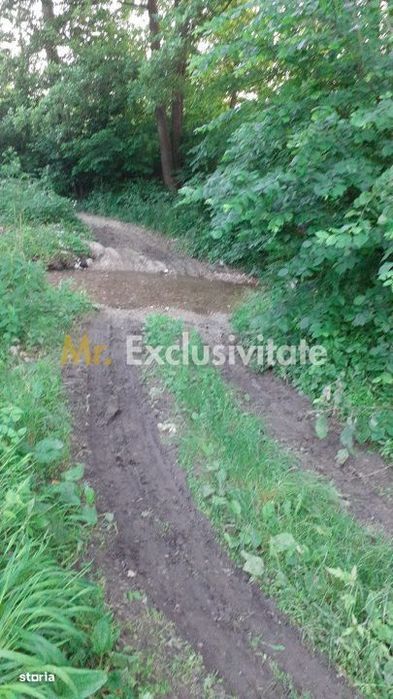 Teren extravilan Pitesti - str. Balotesi!!