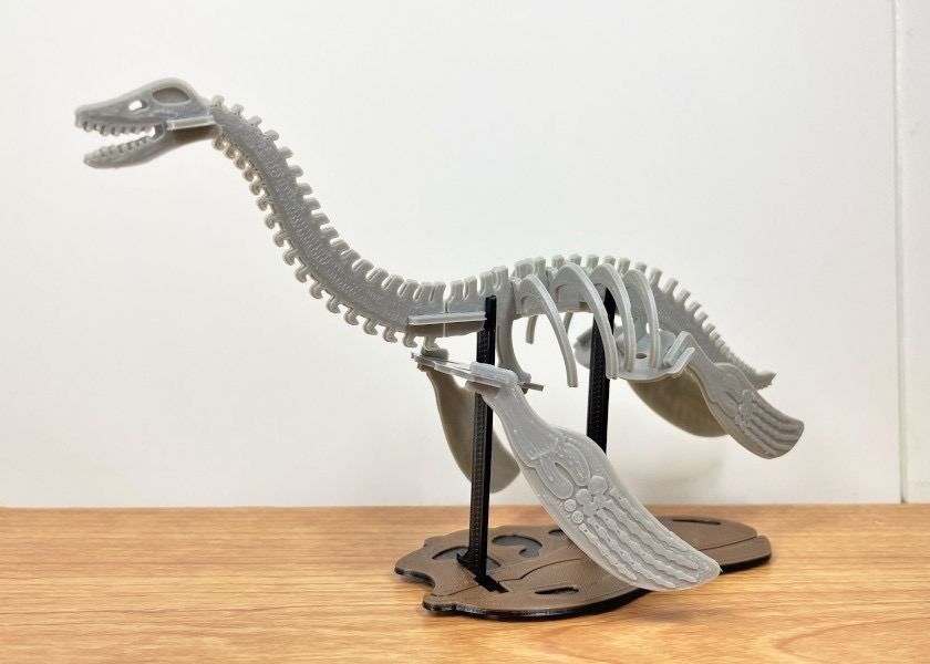 Парк скелетов диназавров