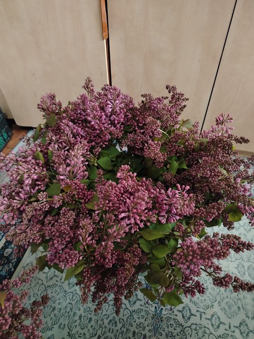 Сирень букет по 3000