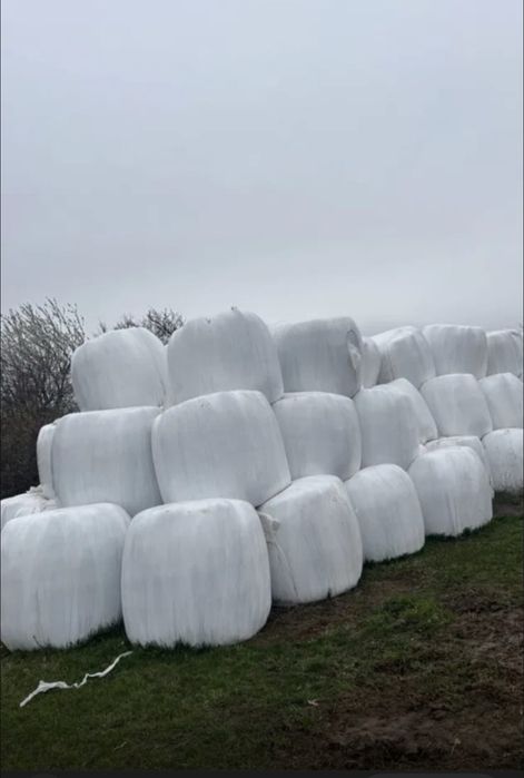 De vanzare baloti!!Lucerna infoliați si uscati.