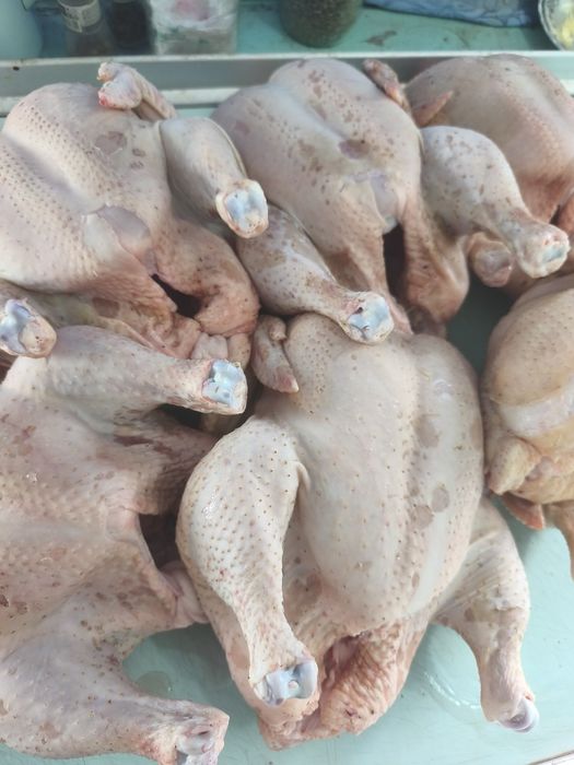 Продаются тушки домашних курей бройлеров