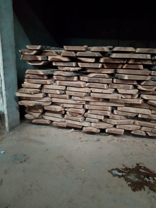 Карагач. Қарағаш