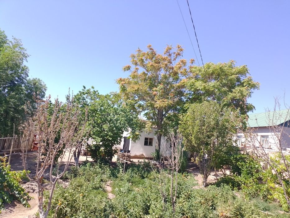 Уй сатылады Гоне каладан