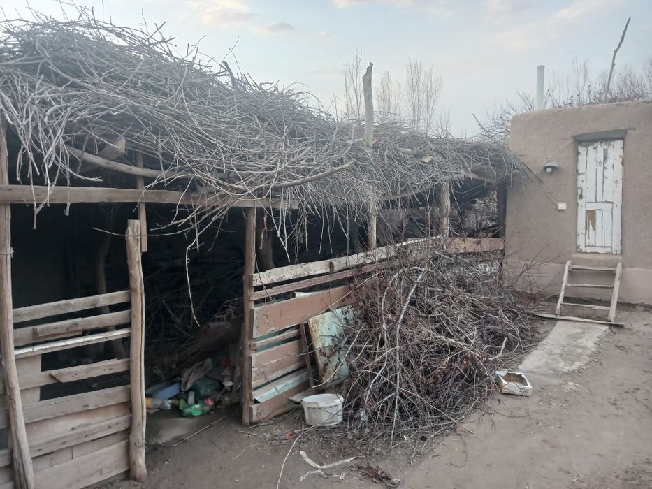 Xovli joy sotiladi aytilishi 75 000 dollir unndanam arzon boʻladi