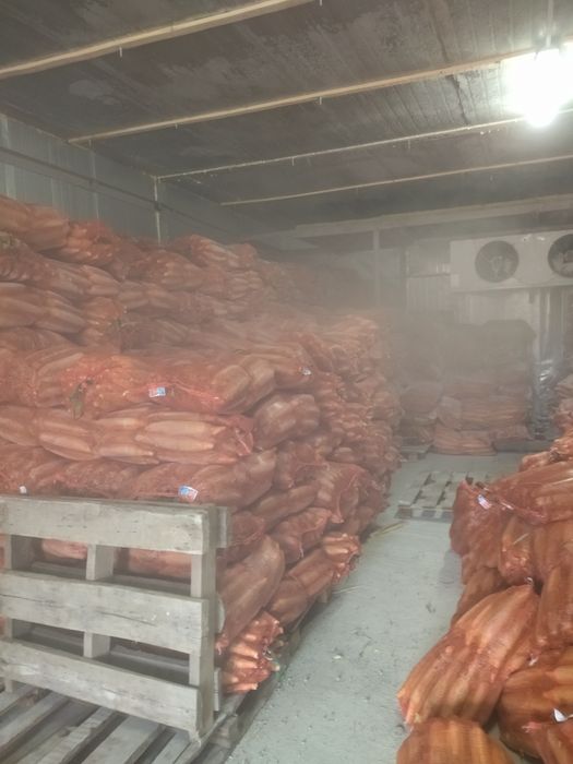 Кукуруза замороженная