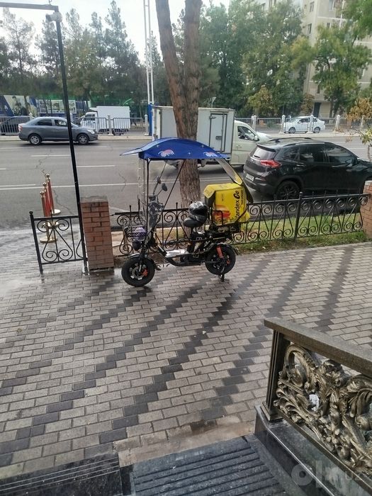 Dojdevik sotamn arzon