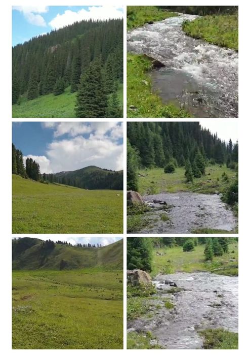 Мал шаруашылыгы...