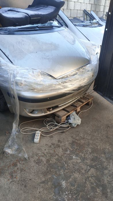 Ноускат Шаран Галакси