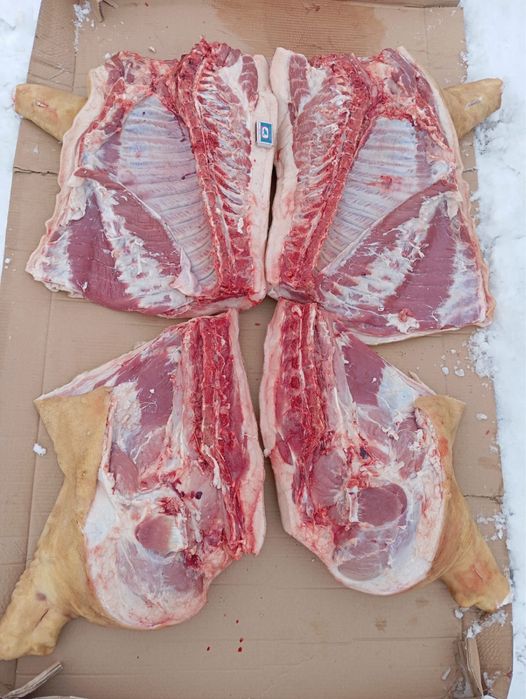 Продам домашнее мясо