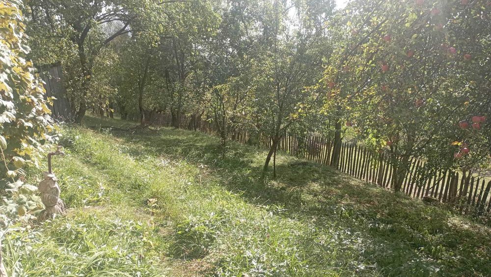 Casa batraneasca cu teren livada intravilan/extravilan 9032mp