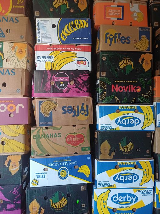 Baxuri banane de vanzare si ladite de plastic
