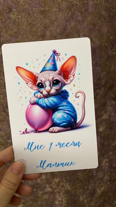 БРОНЬ котята сфинксы