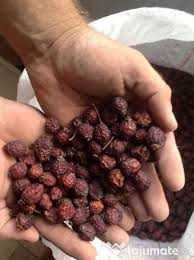 Macese uscate natural la soare din zone nepoluate,40 lei/kg