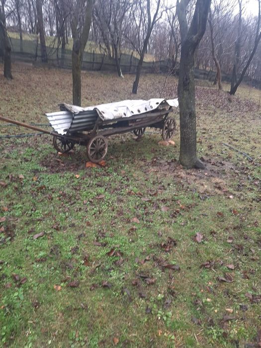 Carut lemn foarte vechi