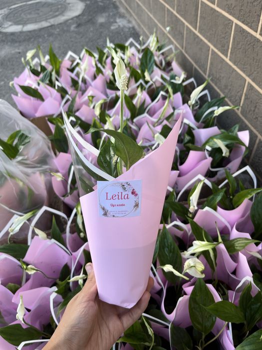 BDSM порно қосқышы