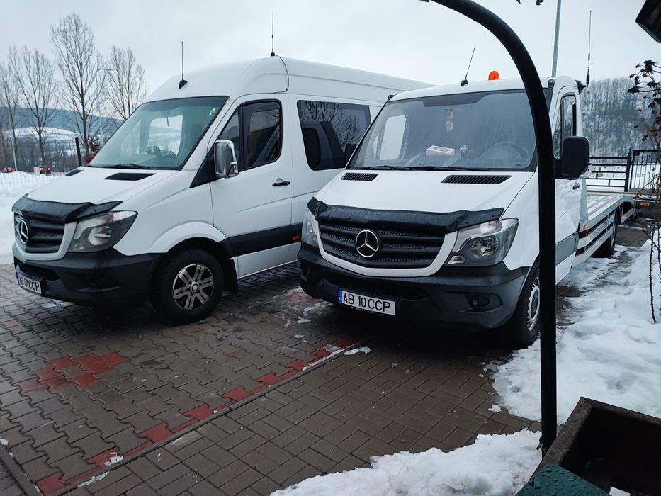 Vând platformă auto platforma și o dubă ce se vede în poză