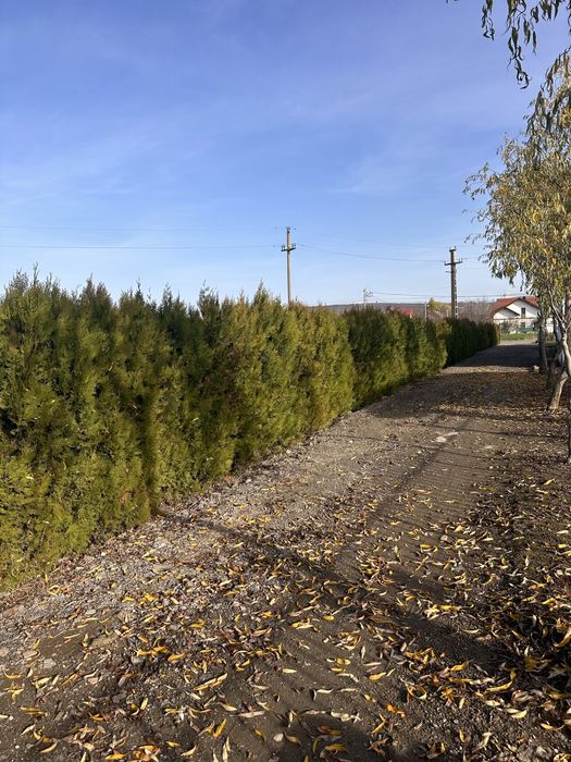 Casa Lunca Cetatuii-Ciurea