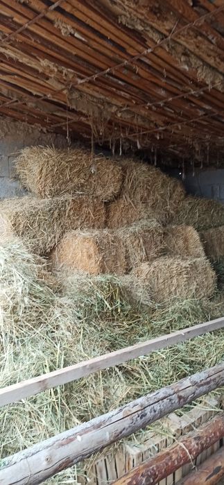 Пресс шоп сатылады