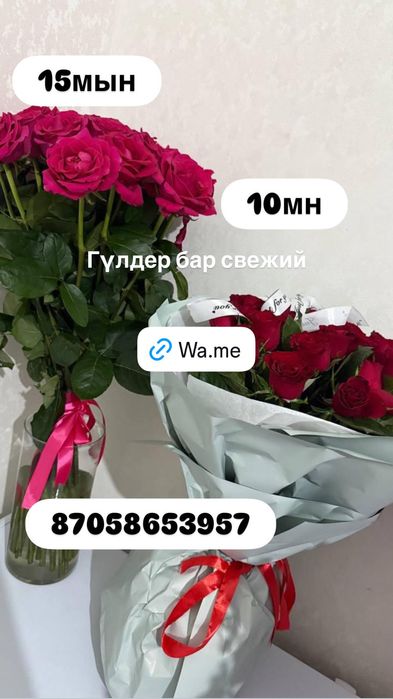 Тараз цветы гүлдер