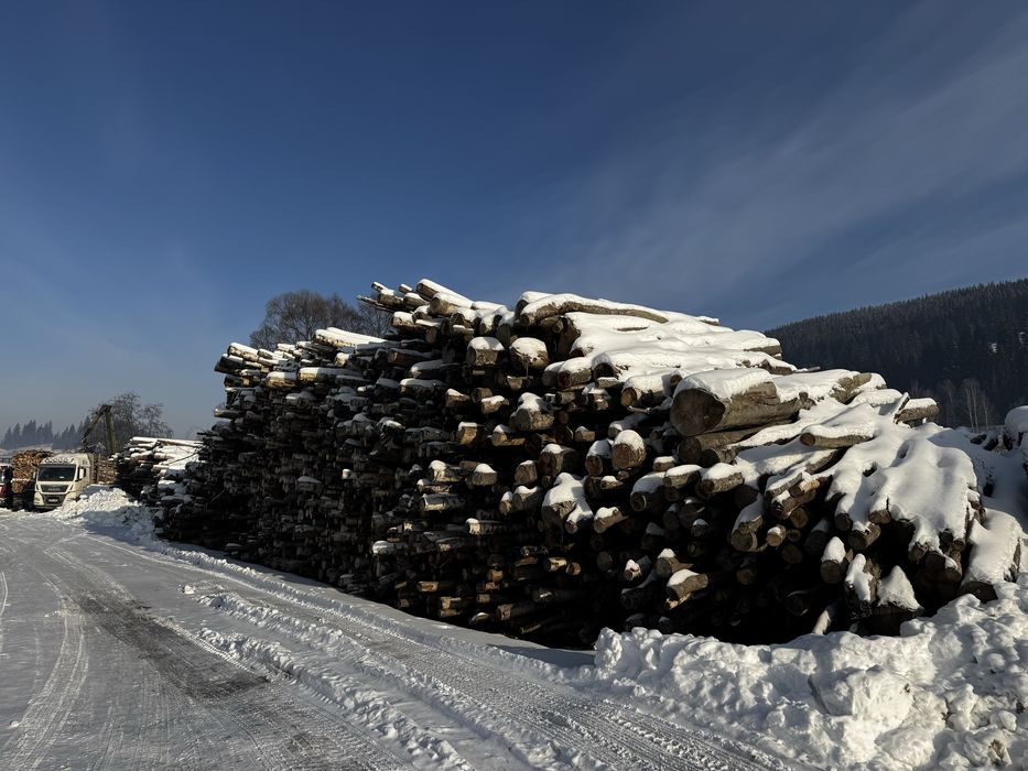 Vand lemn foc Fag Mesteacan