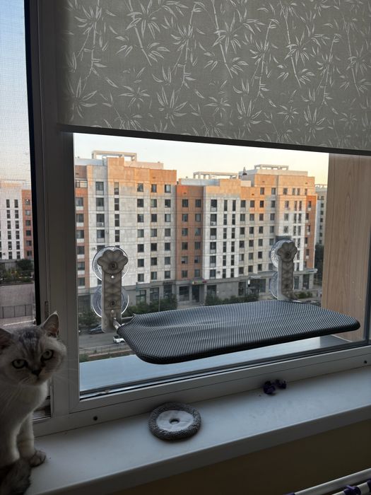 Гамак на окно для кота продам