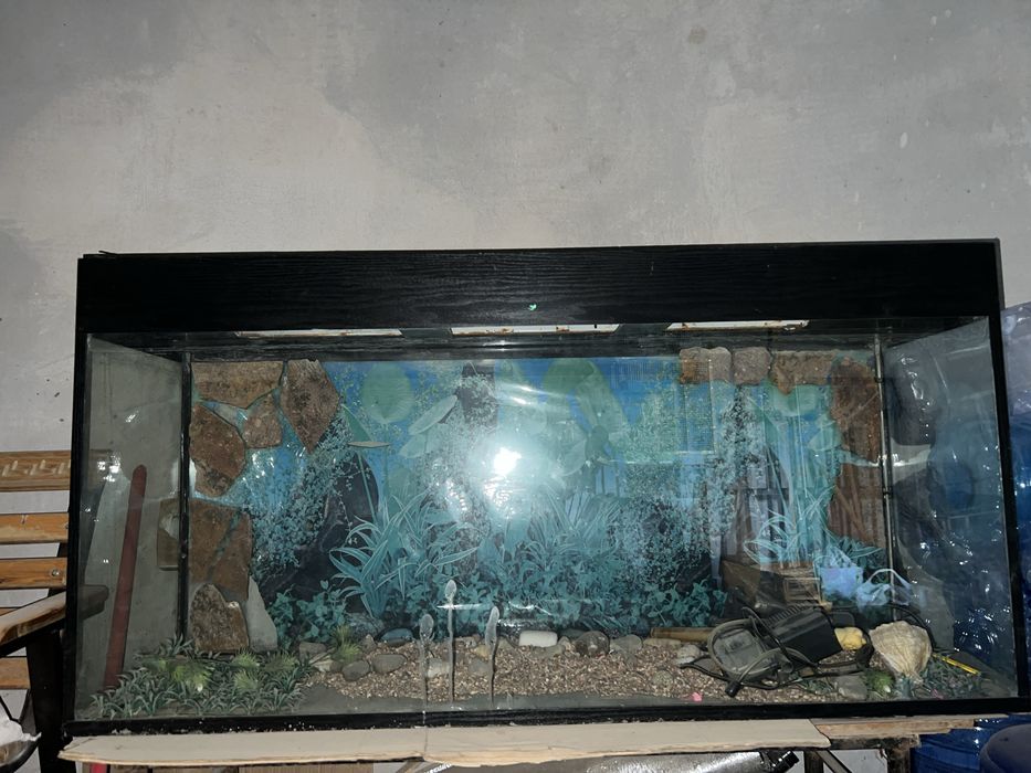 Akvarium sotladi