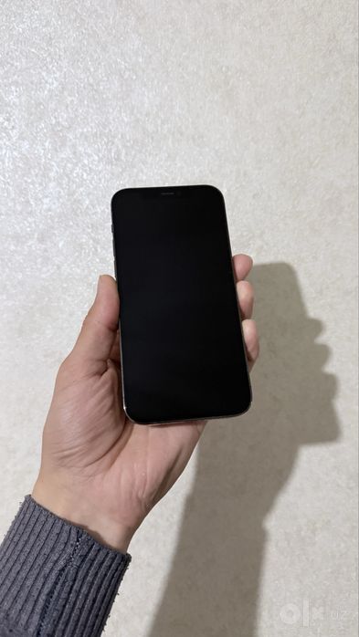 Iphone 12 pro ideal 10/10