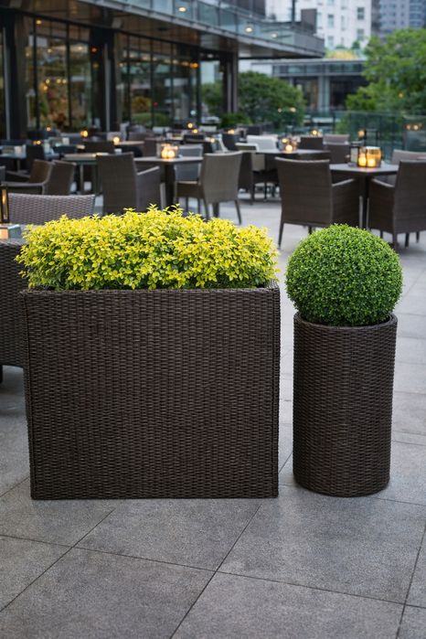 Ротанг кашпо | Gul tuvak | Гул тувак | Горшки для цветов