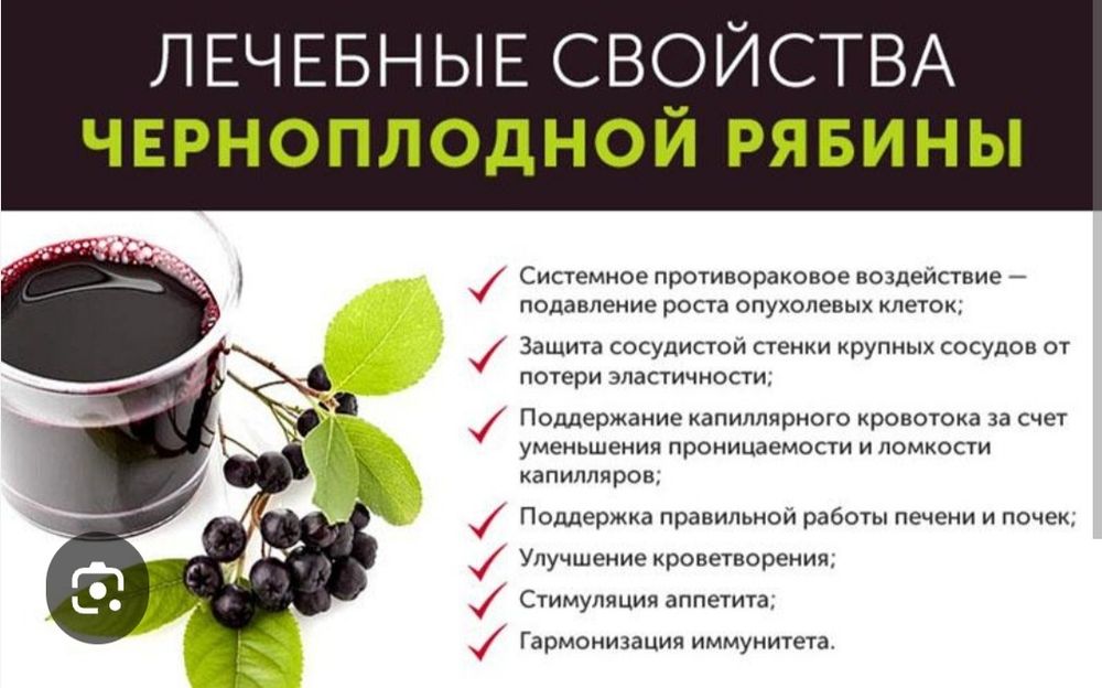 Рябина черноплодная Арония