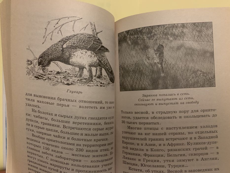 Энциклопедия цена 1500 тг