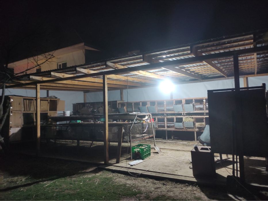 Продам кроликав как бизнес