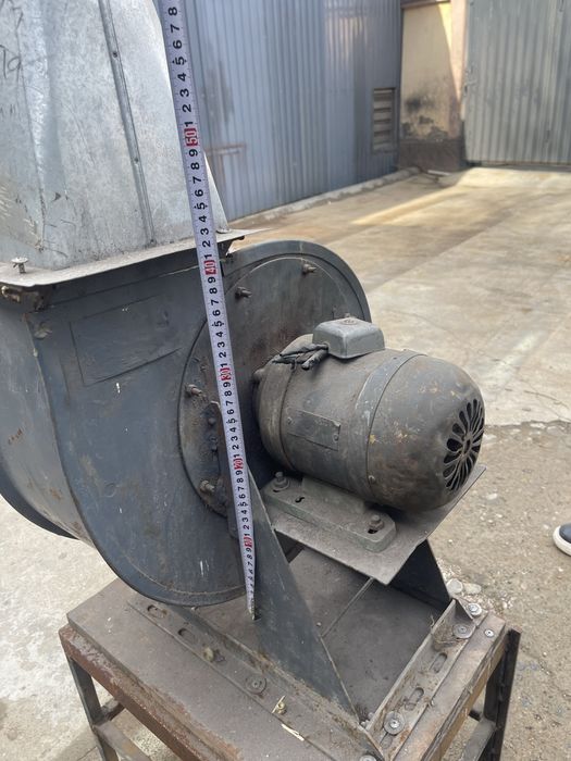 Улитка сотилади срочно