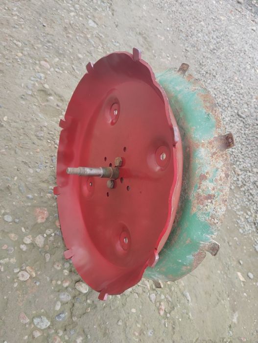 Ruminski selka zabchast