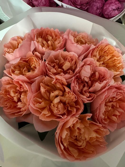 5 мынға беріп жіберем