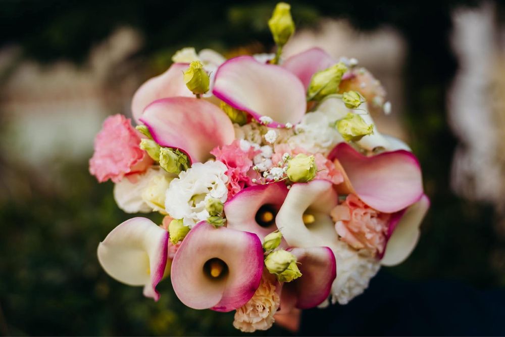 Украса за сватба, юбилей и всеки друг повод за гр. София