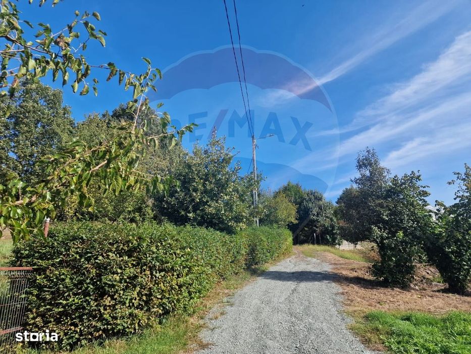 OCAZIE.  De vanzare teren în Cicarlau - Strada 1 Mai - super pret
