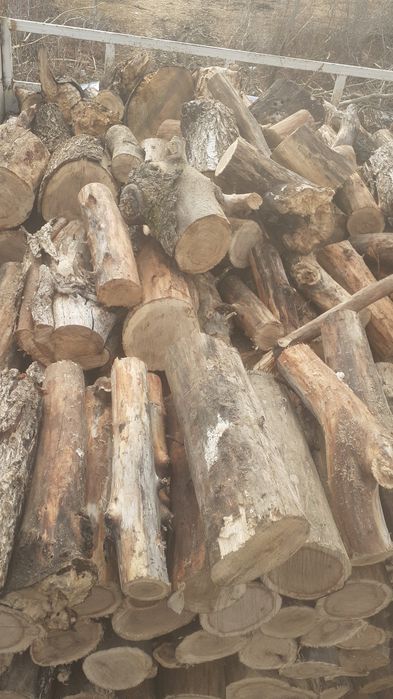 Дрова Тополь  сухой!