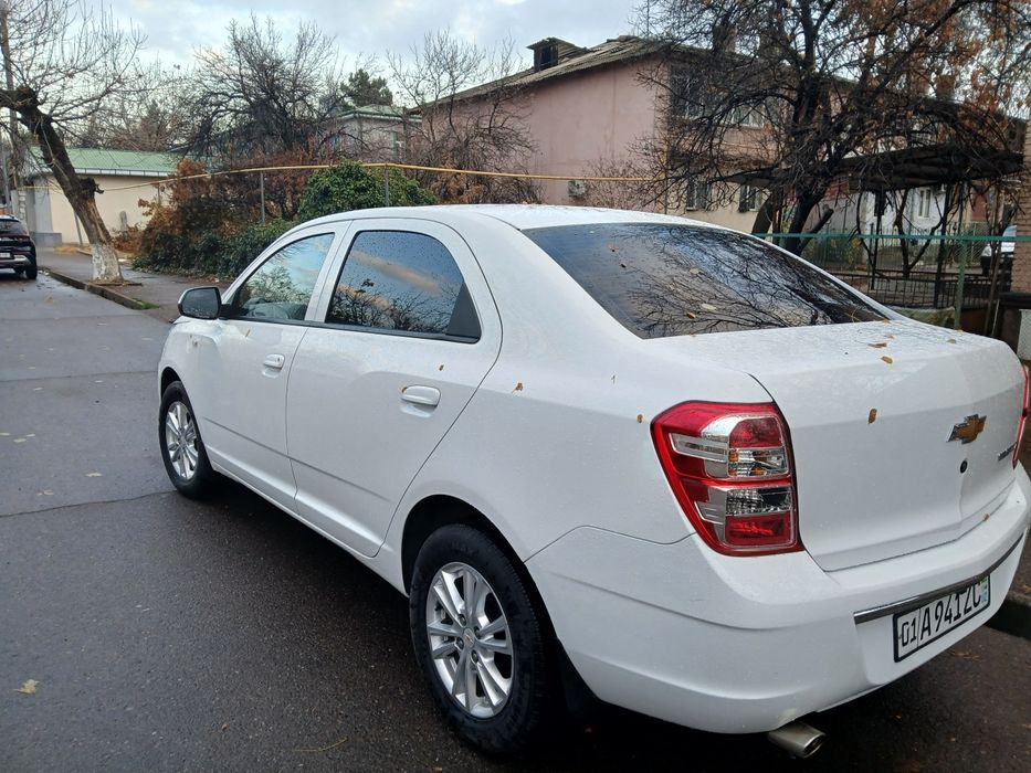 Cobalt Style Plus 2022