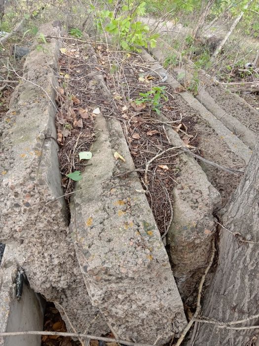 Продам плиты ЖБИ .