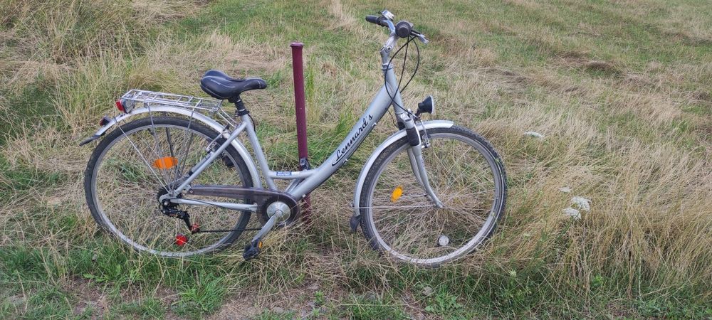 Bicicleta copii și adulți dama