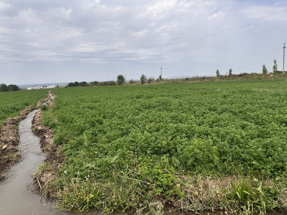 Реклама недвижимости