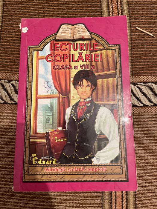 Lecturile copilăriei- clasa a VIII- a