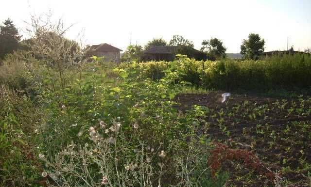 Стара къща в Златия