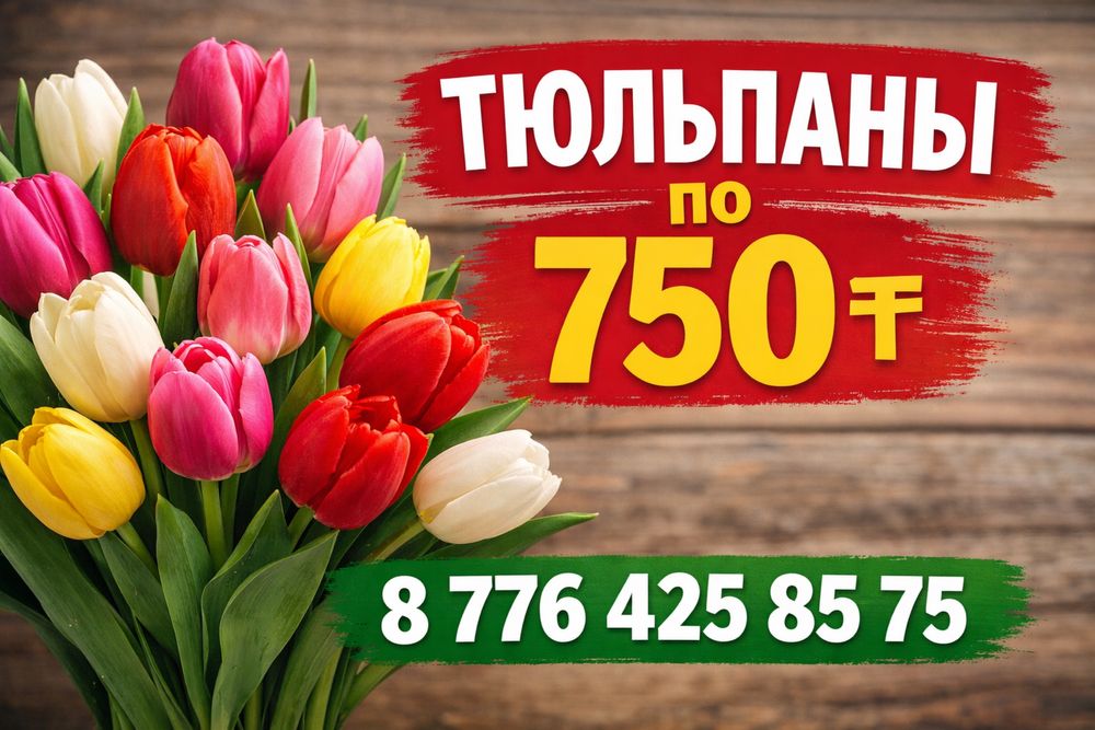 Тюльпаны  Тюльпаны