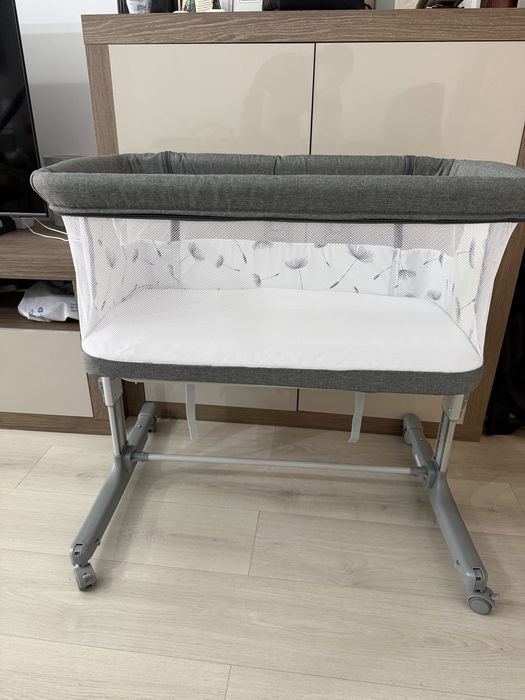 Patut Lionelo Aurora