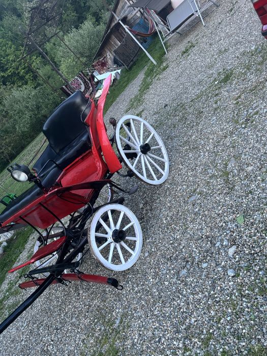 Vand trasura de un cal sau de doi